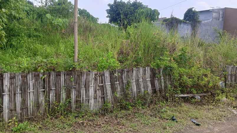 dijual tanah tlogobiru