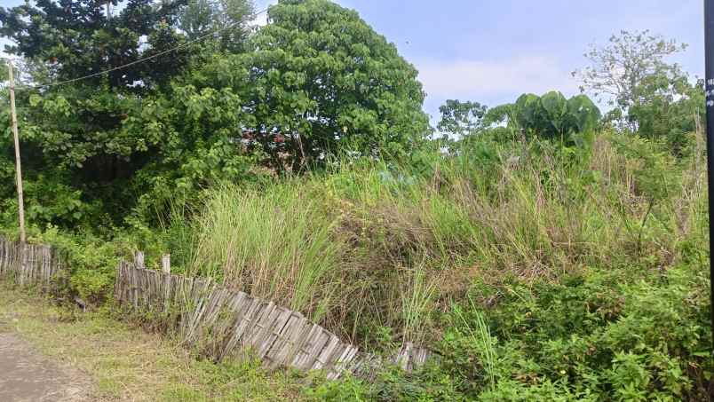 dijual tanah tlogobiru