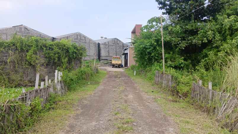 dijual tanah tlogobiru