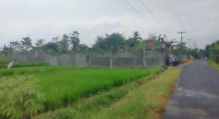 dijual tanah view gunung pinggir jl desa di kec beber