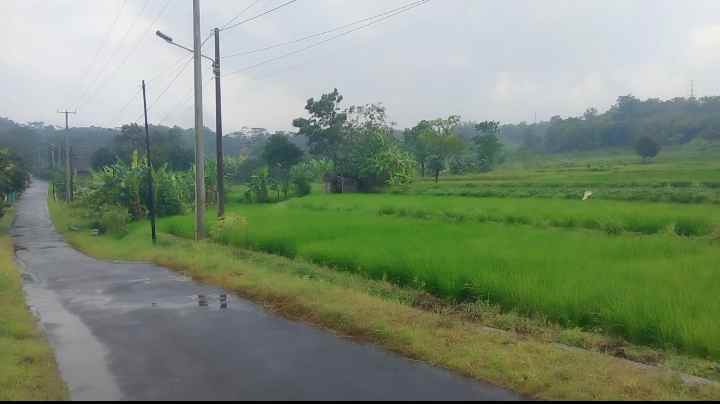 dijual tanah view gunung pinggir jl desa di kec beber