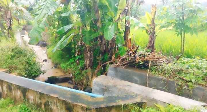 dijual tanah view gunung pinggir jl desa di kec beber