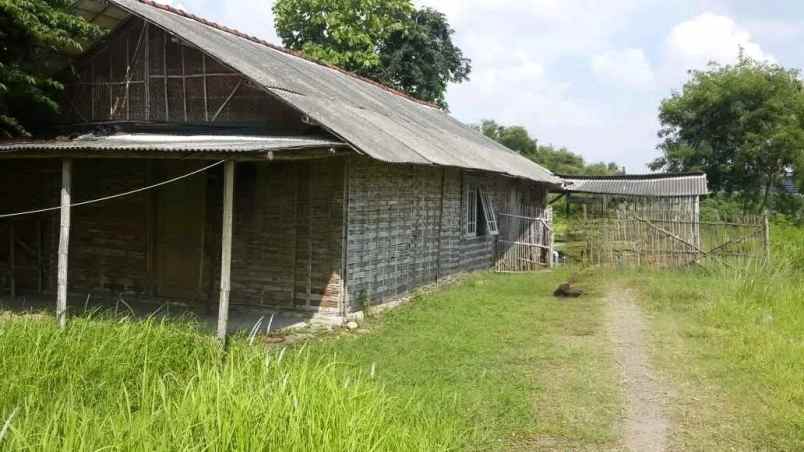 dijual tanah wringinanom gresik