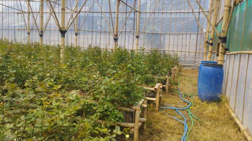 dijual villa desa tugumukti kecamatan