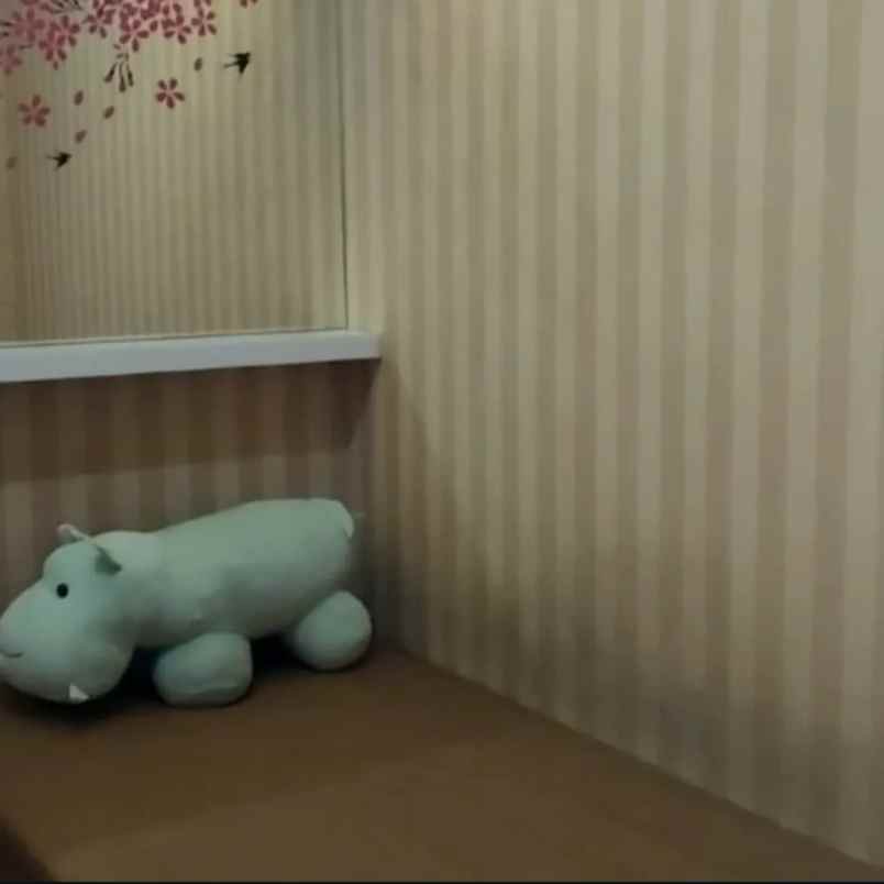 disewakan apartemen apartemen puncak kertajaya