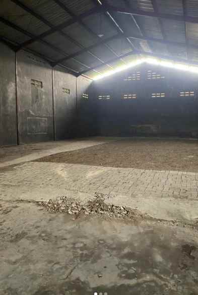 disewakan ruko gudang kantor jalan raya benowo pakal