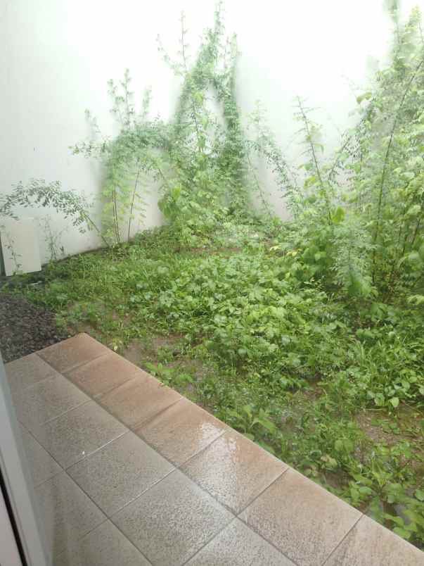 disewakan rumah summarecon bekasi cluster