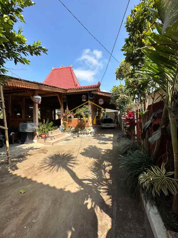 joglo jawa klasik di pakem sleman tanah luas banget