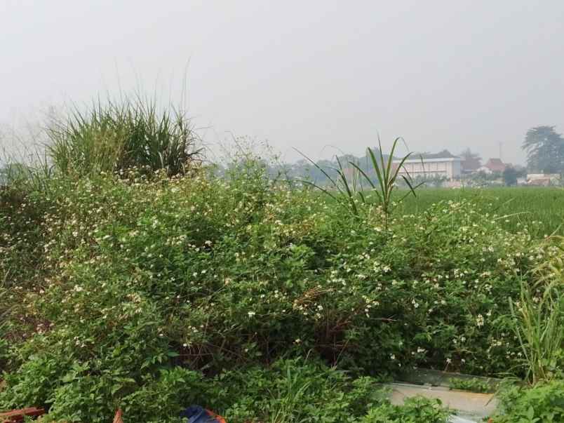 jual cepat tanah matang dekat stt telkom