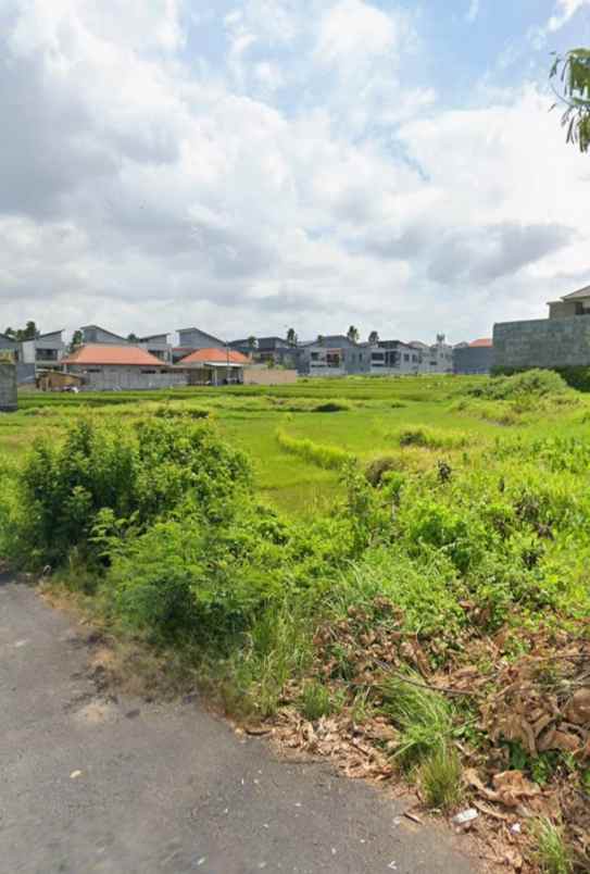 jual tanah di kawasan canggu kuta utara badung