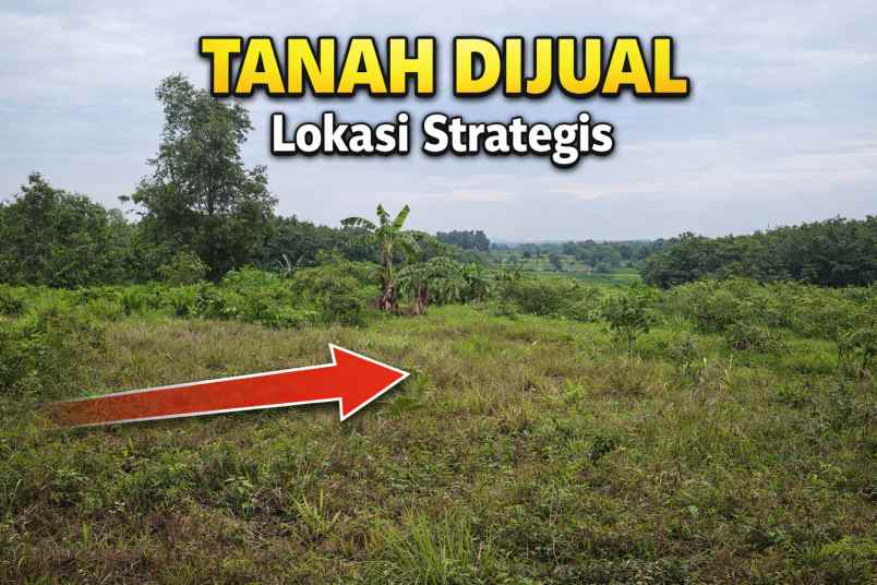 jual tanah lahan kosong cibarusah