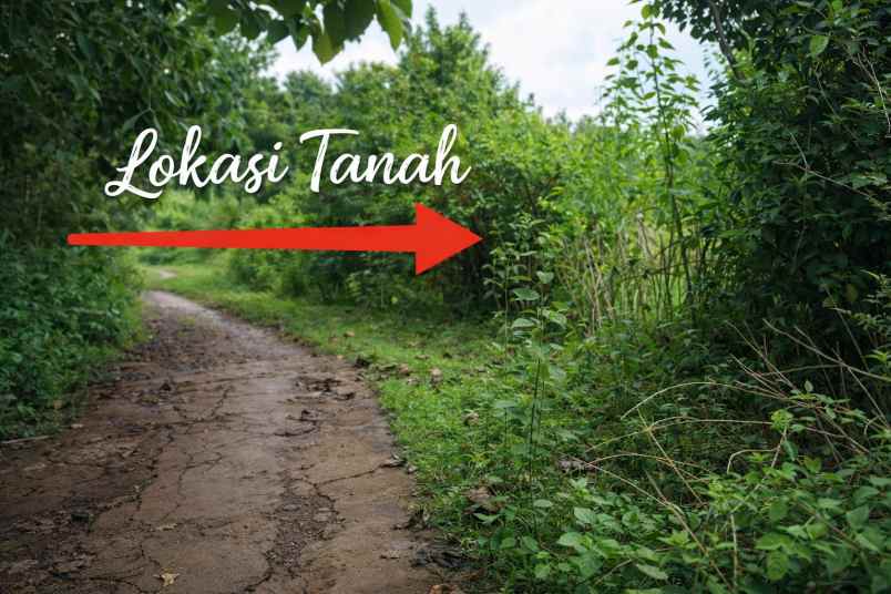 jual tanah lahan kosong cibarusah