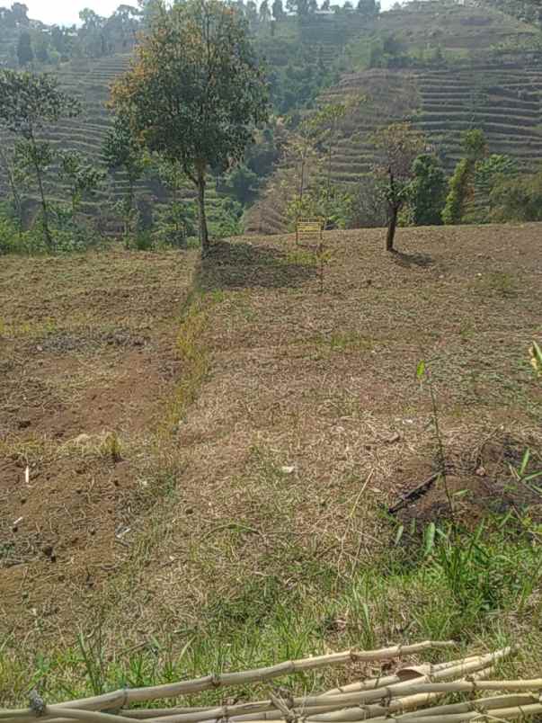 jual tanah minimalis murah