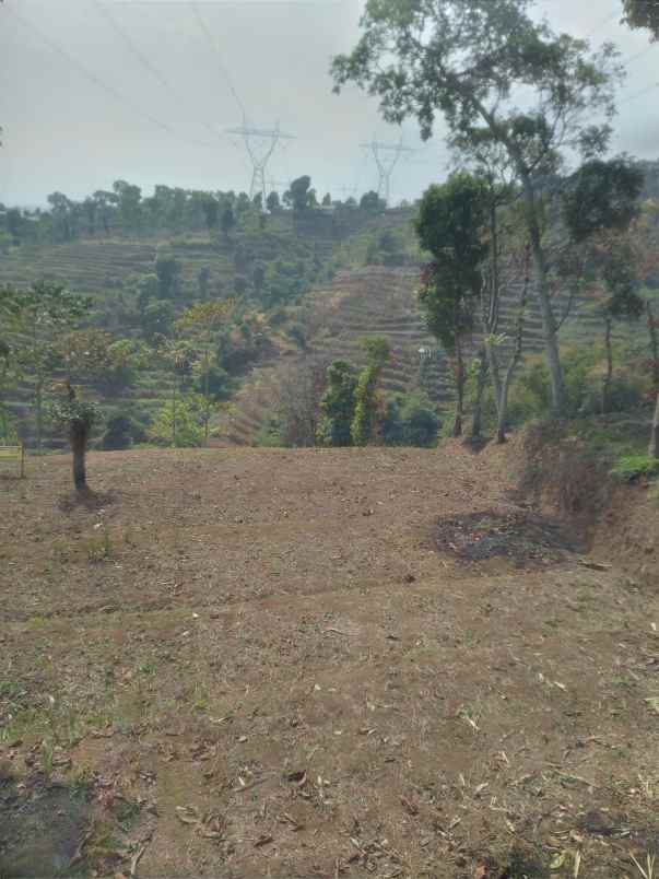 jual tanah minimalis murah
