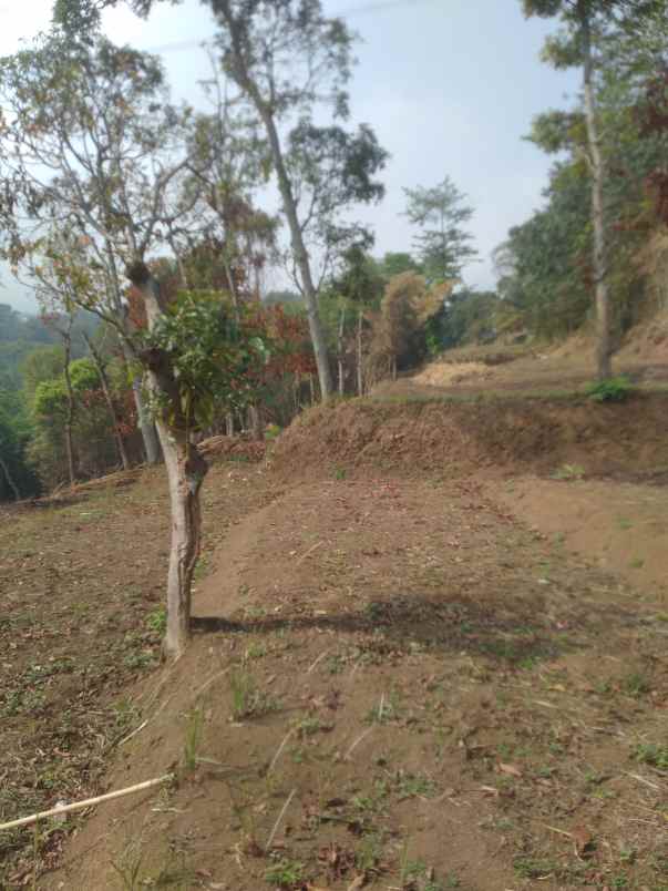 jual tanah minimalis murah