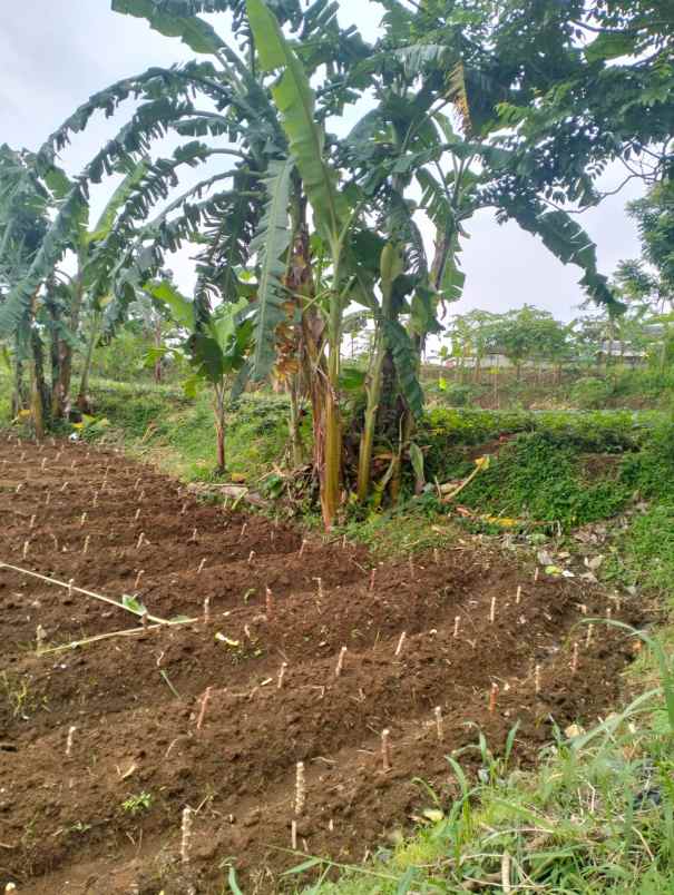 jual tanah murah dekat vimala hills megamendung bogor