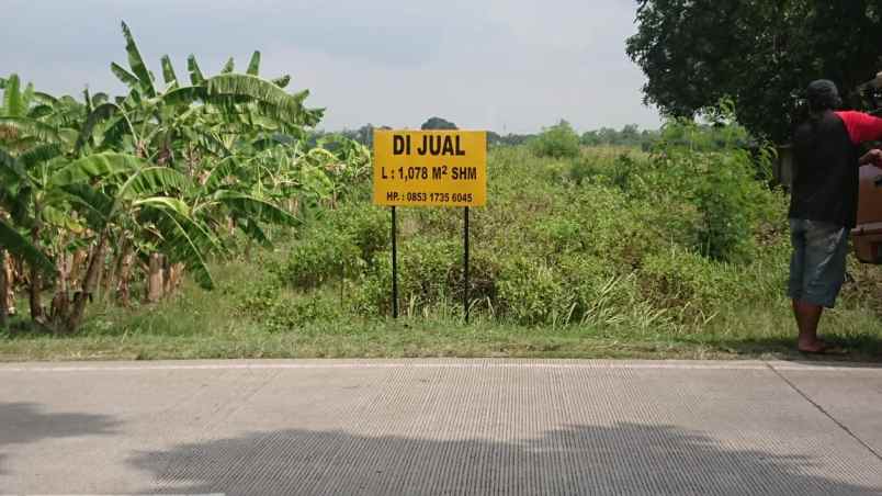 jual tanah super nego sepuasnya