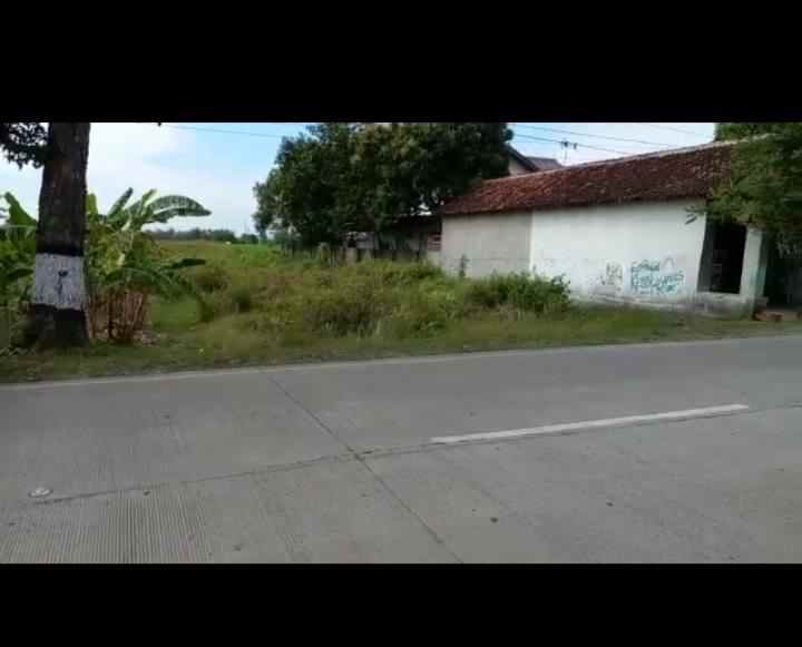 jual tanah super nego sepuasnya