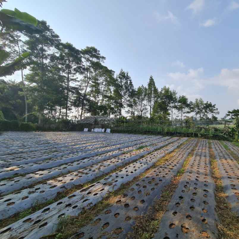 jual tanah view danau dan gunung di bandung