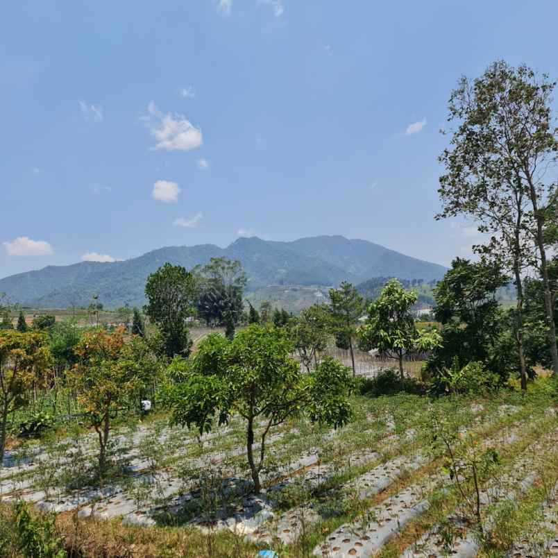 jual tanah view danau dan gunung di bandung