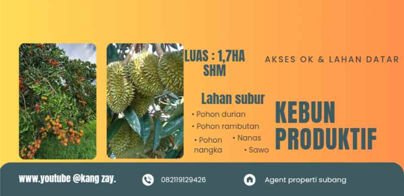 kebun produktif rambutan durian kalijati subang