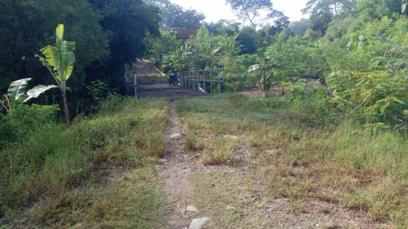 lahan pemukiman 21 ha boyolali 300rb m2
