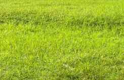 murah poll tanah urug raya pacing bangsal mojokerto