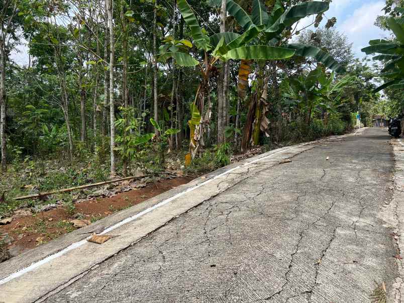 pekarangan datar 959m utara pasar mojogedang