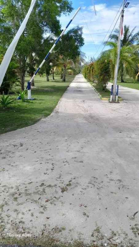 resort 1 5hektar bintan kepulauan riau