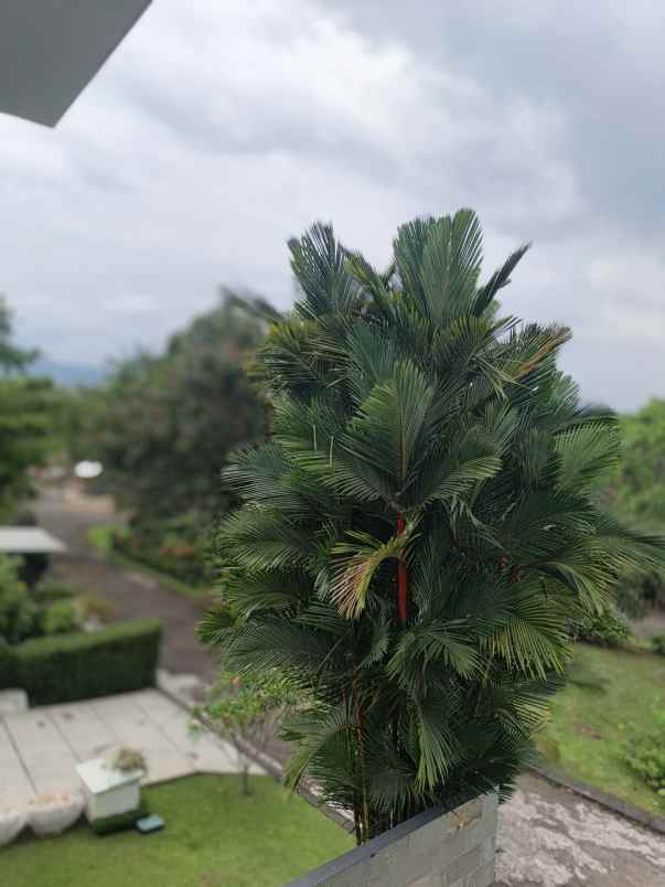 rumah mewah rapih fasilitas umum lengkap