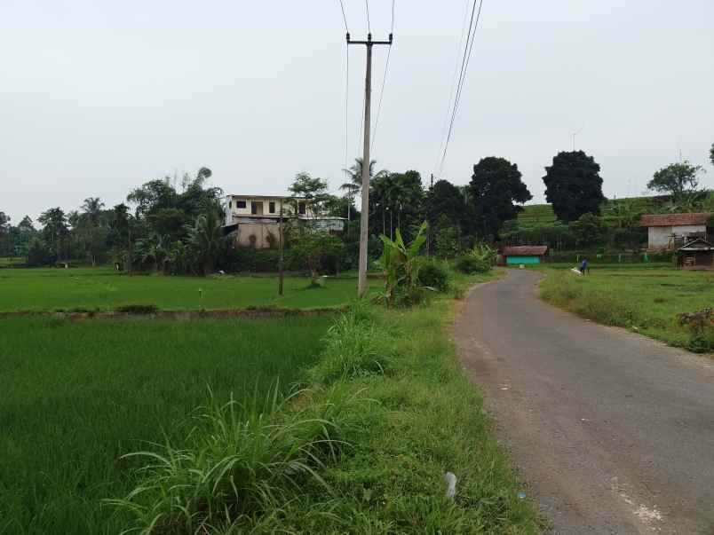 sawah produktif dekat sungai view bagus subang