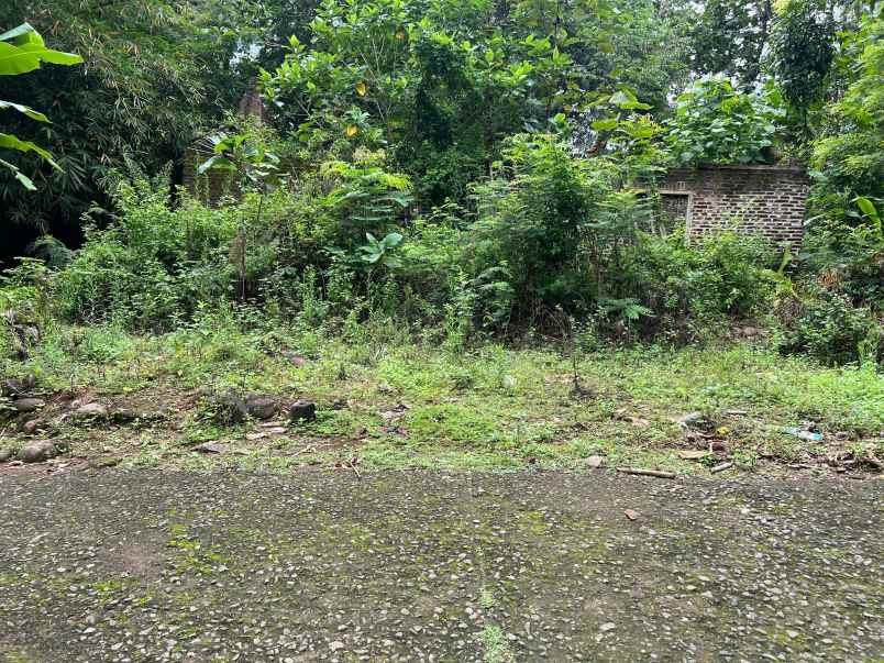 tanah 125 juta cocok investasi kebun buah karanganyar