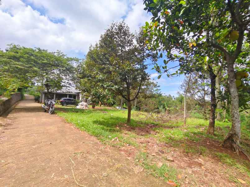 tanah 750m cocok untuk villa ngargoyoso karanganyar