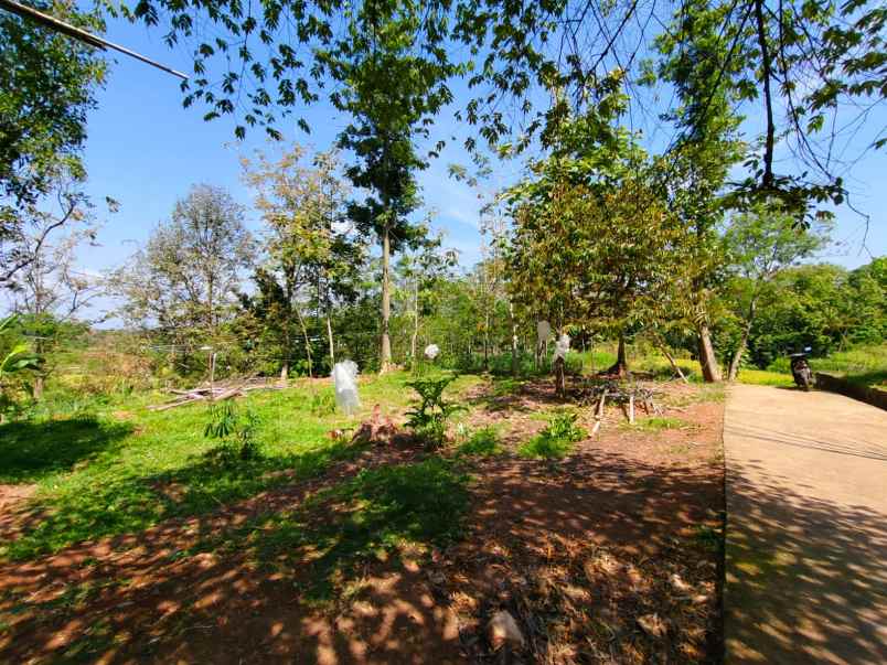 tanah 750m cocok untuk villa ngargoyoso karanganyar