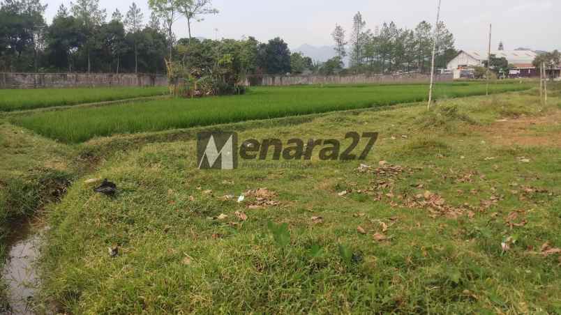 tanah bojong sereh banjaran