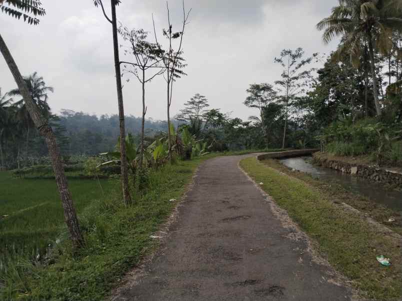 tanah dan bangunan kolam ikan subang jawa barat