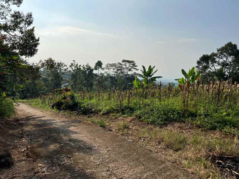 tanah datar 3500m siap bangun karanganyar