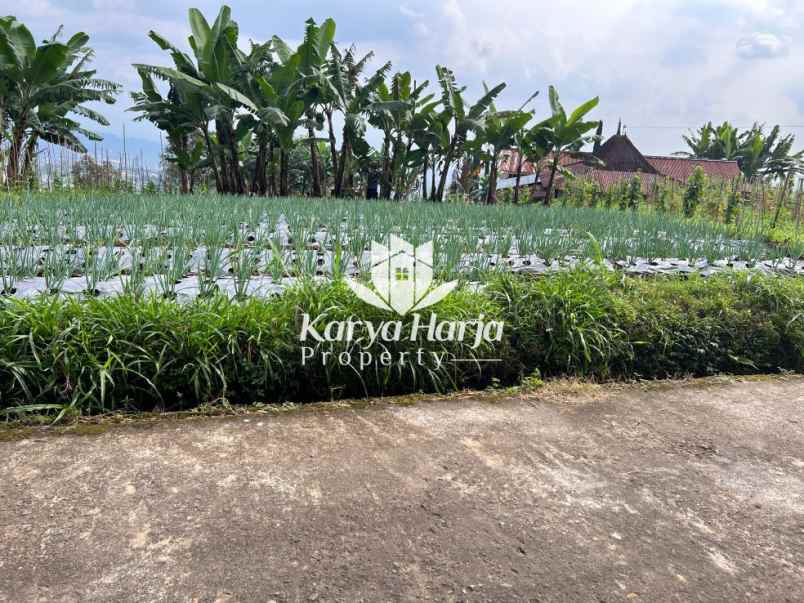 tanah datar cocok dibangun villa kemuning karanganyar