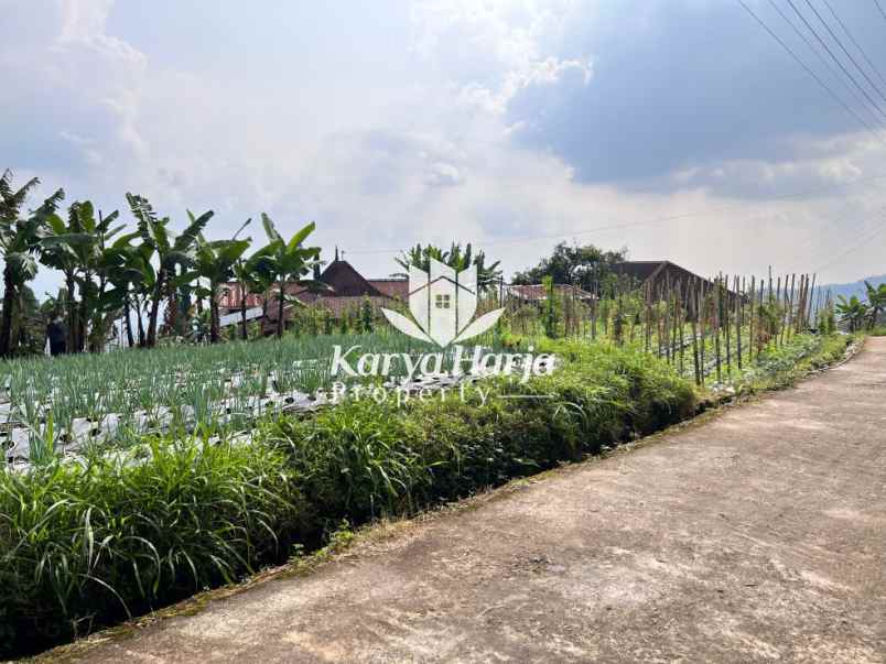 tanah datar cocok dibangun villa kemuning karanganyar