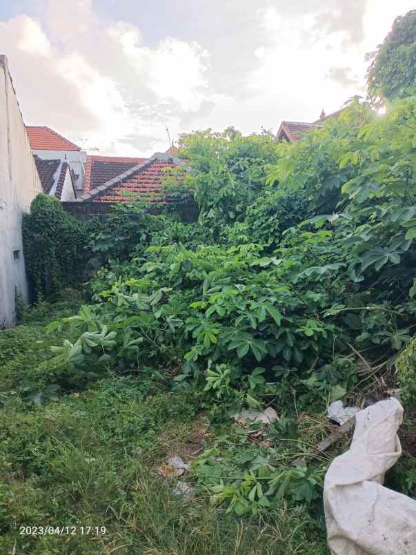 tanah dekat seminyak bali di gunung salak bonus imb