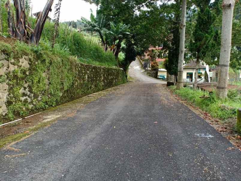 tanah dekat wisata alam parang