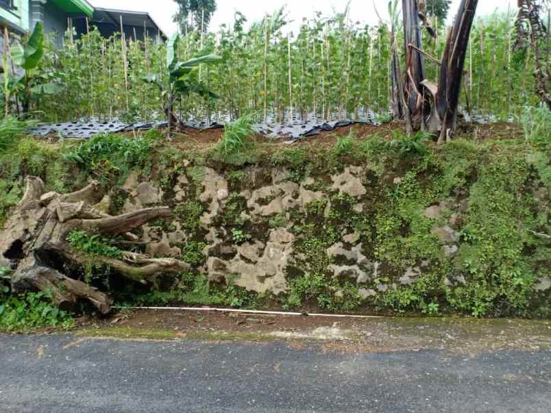 tanah dekat wisata alam parang