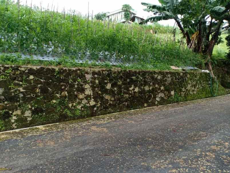 tanah dekat wisata alam parang