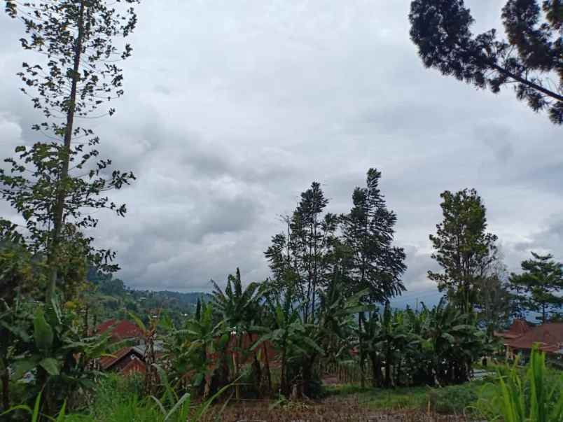 tanah dekat wisata alam parang