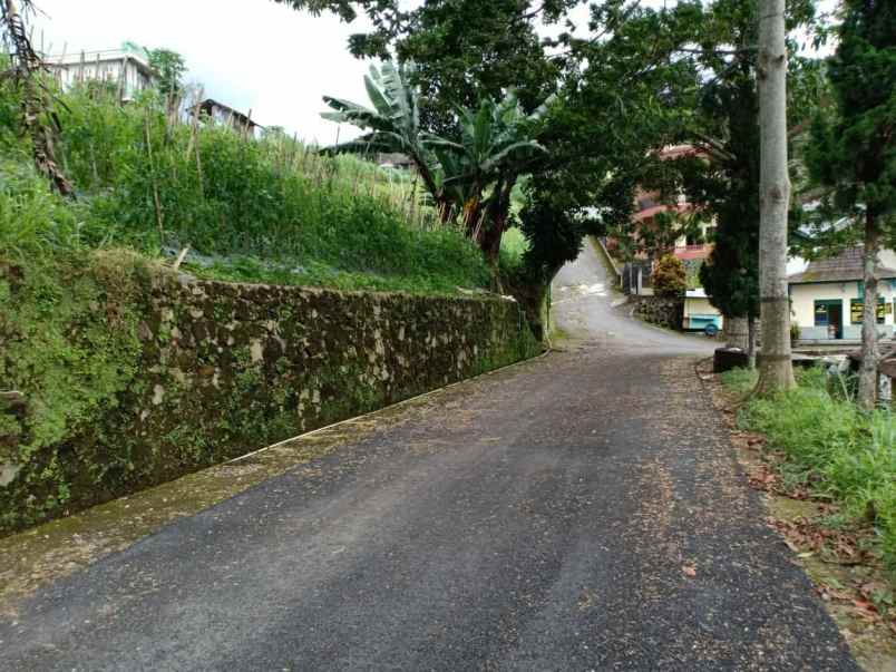 tanah dekat wisata alam parang