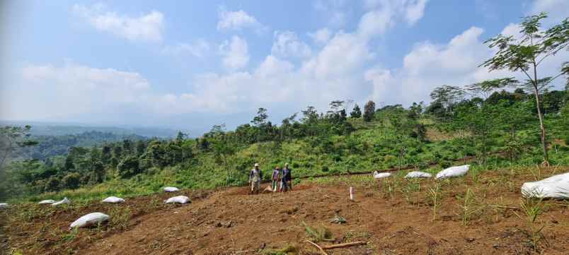 tanah desa cisomang kec cikalong