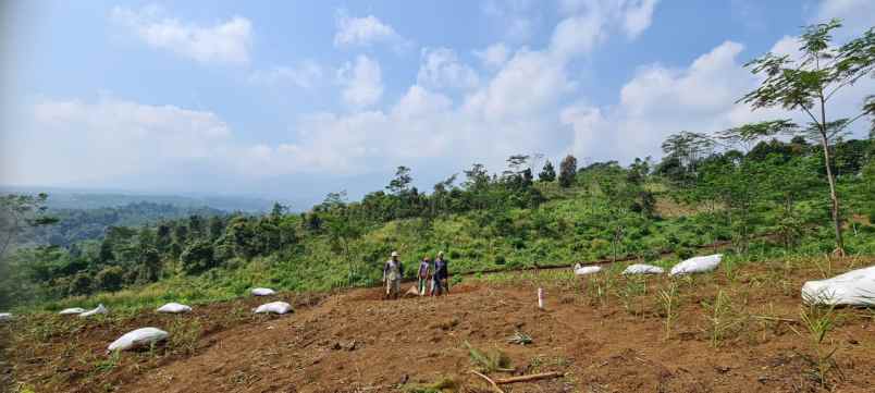 tanah desa cisomang kec cikalong