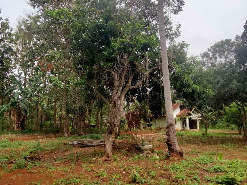 tanah di langkapura luas 1524m