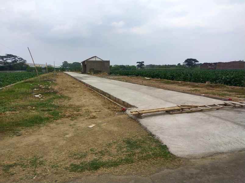 tanah grogol solobaru sukoharjo