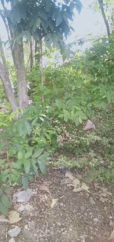 tanah harjamukti kota cirebon